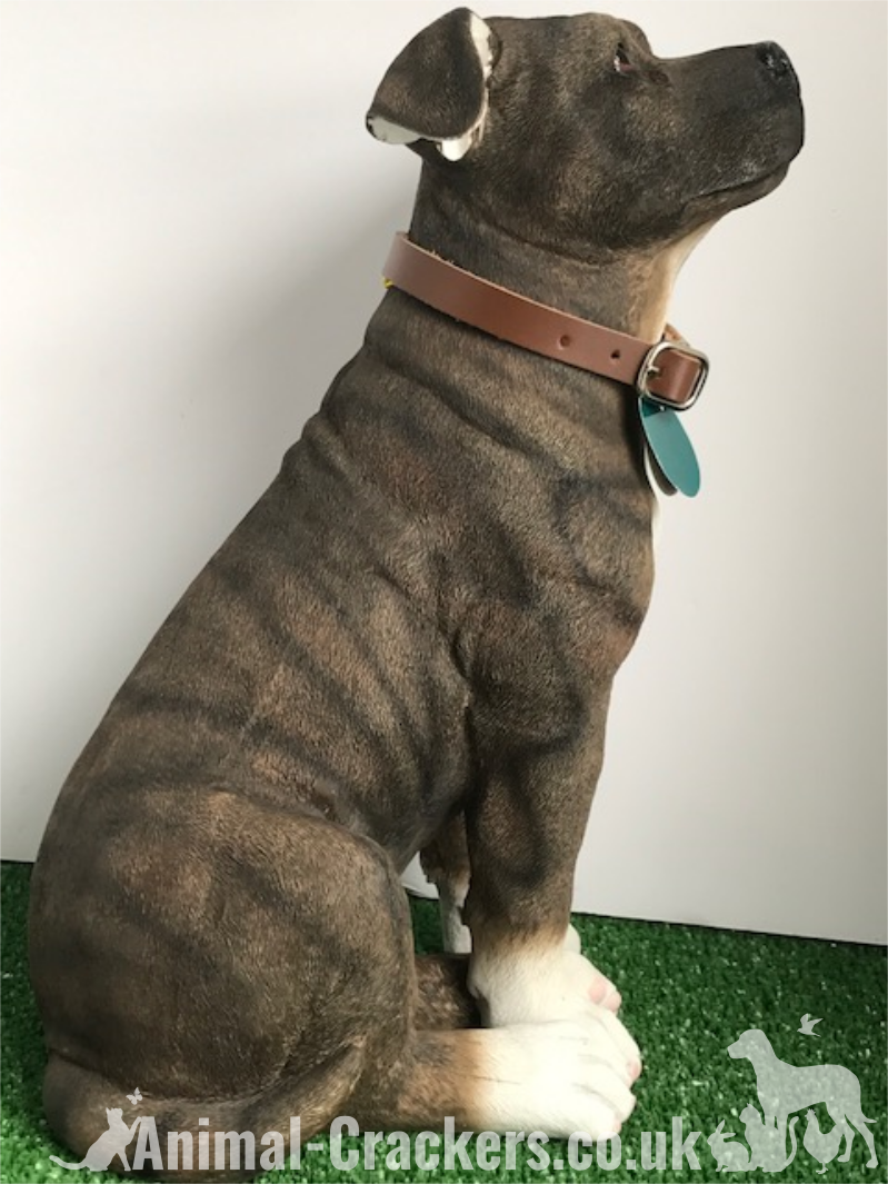 leonardo staffordshire bull terrier